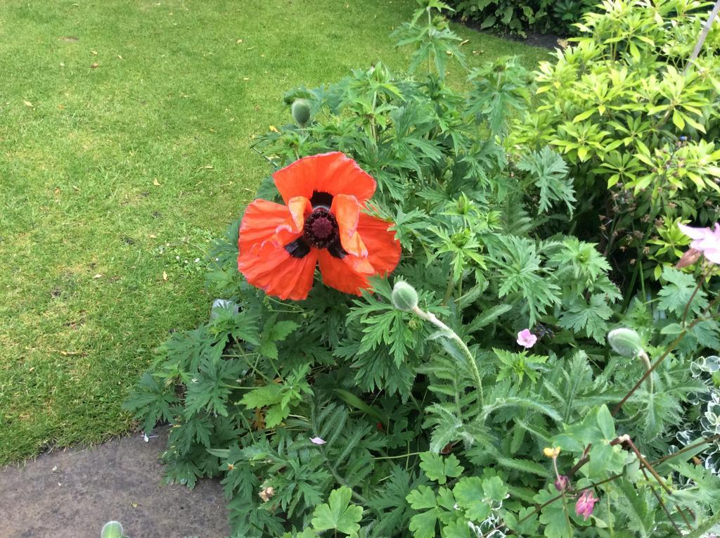 Willow Cottage B&B Yeadon Dış mekan fotoğraf