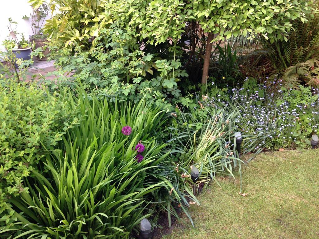 Willow Cottage B&B Yeadon Dış mekan fotoğraf