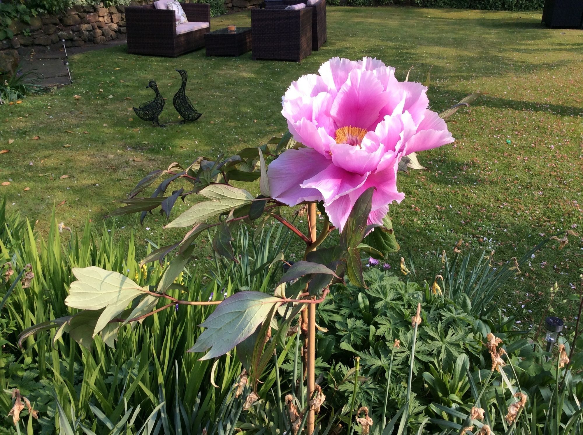 Willow Cottage B&B Yeadon Dış mekan fotoğraf